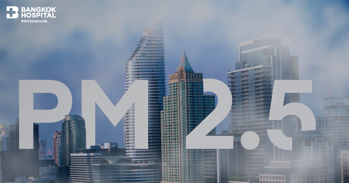 Beware: PM 2.5 Is More Dangerous Than You Think