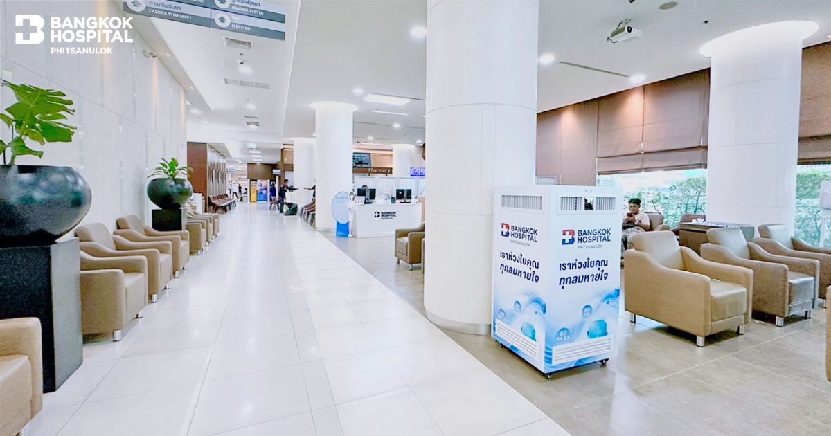 High-Efficiency Air Purification System for PM 2.5 Control