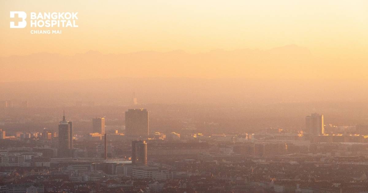 Doctor article image