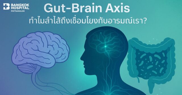 Gut-Brain Axis: Why Your Gut Holds the Key to Your Emotions Image