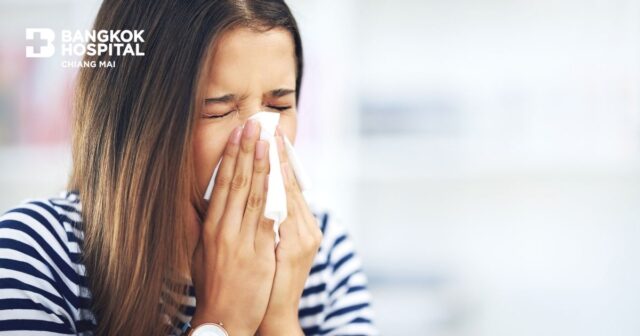 Allergy tablets: A new alternative for dust mite allergy sufferers! Image