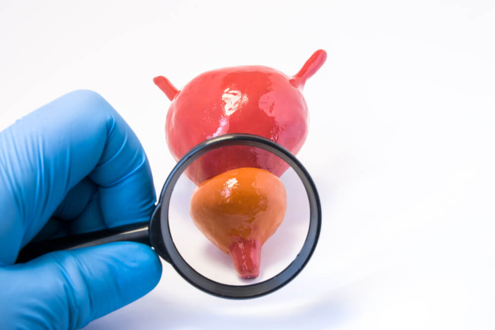 Doctor article image
