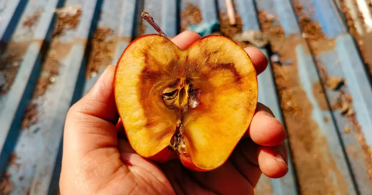 สารต้านอนุมูลอิสระ วิตามิน