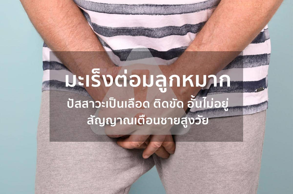 Doctor article image