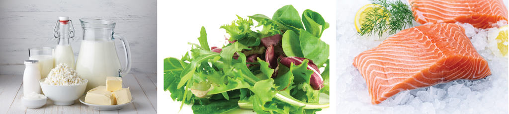 อาหารบำรุงกระดูก