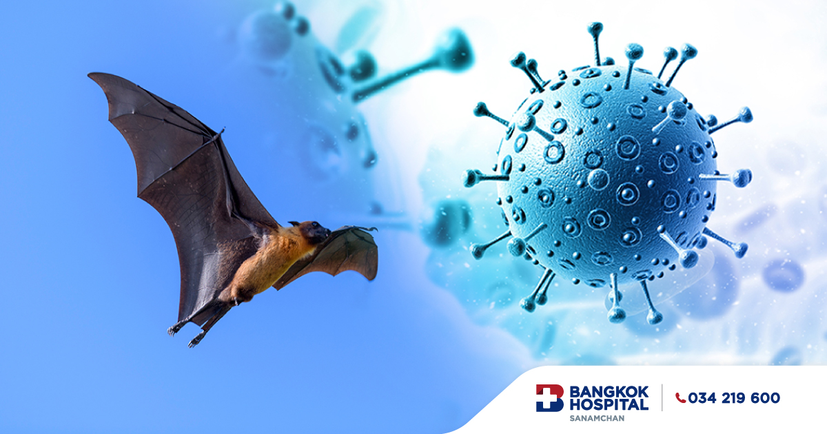 Doctor article image