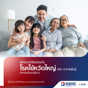 แพ็กเกจวัคซีนป้องกันโรคไข้หวัดใหญ่ 3 สายพันธ์ุ