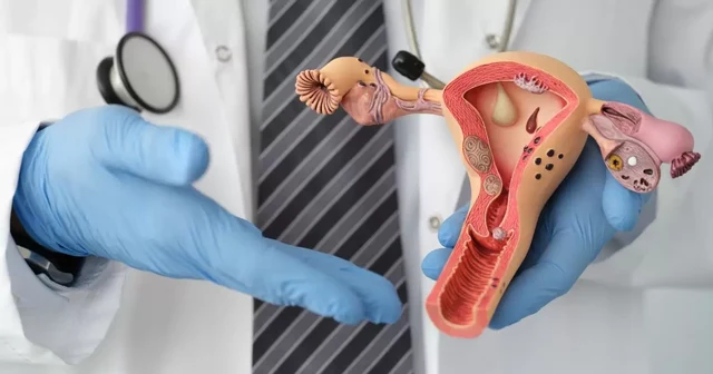 ขั้นตอนการฉีดเชื้ออสุจิเข้าโพรงมดลูก (IUI)