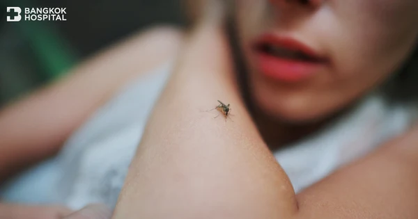 Dengue-Fieber Vorsicht zur Risikominderung bei schwerem Verlauf