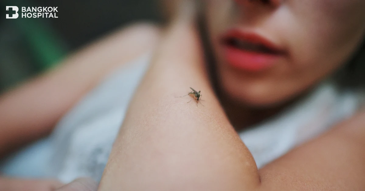Dengue-Fieber Vorsicht zur Risikominderung bei schwerem Verlauf