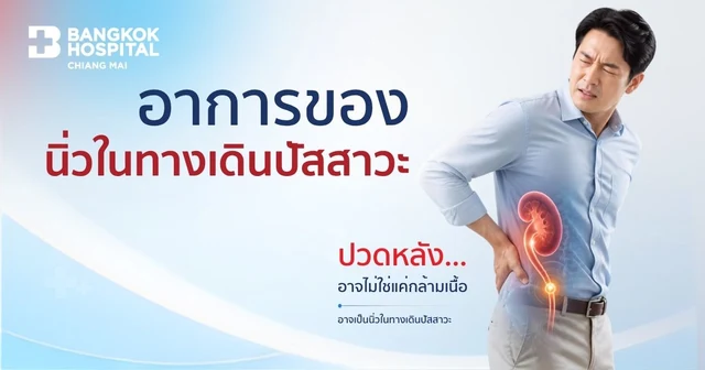อาการของนิ่วในทางเดินปัสสาวะ ปวดหลังอาจไม่ใช่แค่กล้ามเนื้อ Image